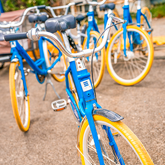 a group of blue and yellow bikes to rent.