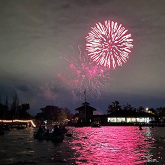Fireworks over shoreline lake.