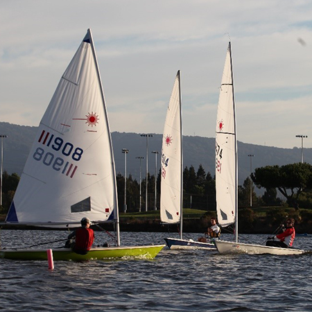 Three boats racing on shoreline lake.